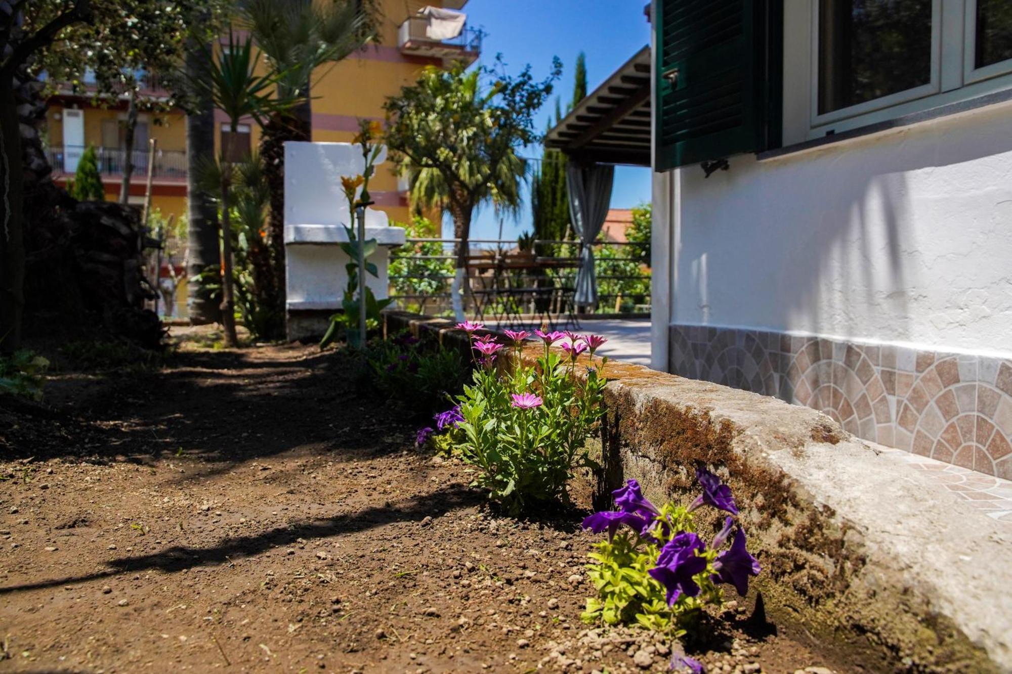 La Sorrentina Διαμέρισμα Gragnano Εξωτερικό φωτογραφία